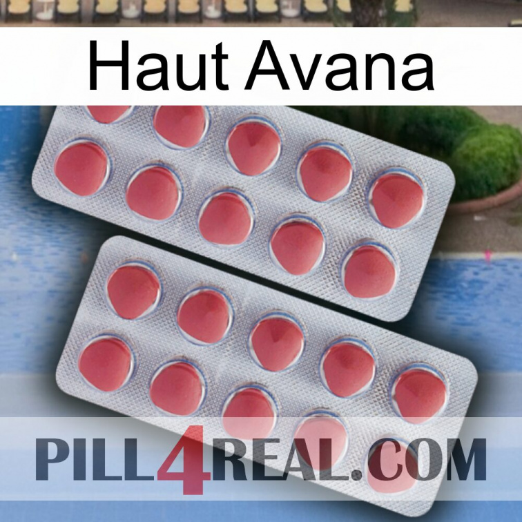 Top Avana 19